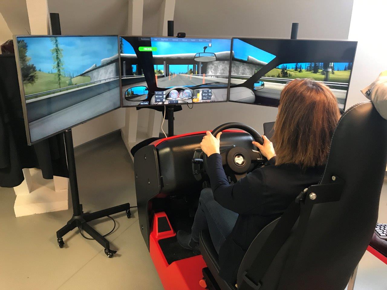 Simulateur de conduite à Seynod